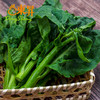 东升农场 供港芥兰 白花芥兰 芥蓝 广州蔬菜新鲜配送 300g 商品缩略图2