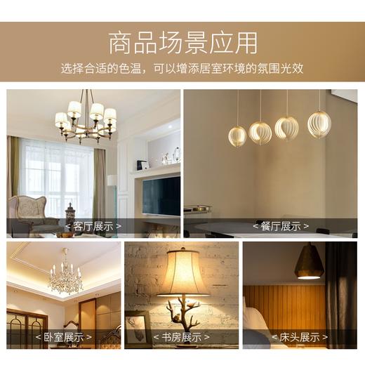 珍视力系列灯泡 商品图3