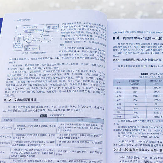 制氢工艺与技术-氢能利用关键技术系列 商品图3