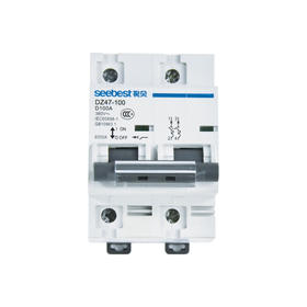 视贝小型断路器 DZ47-100 2P D型