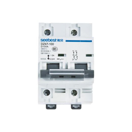 视贝小型断路器 DZ47-100 2P D型 商品图0