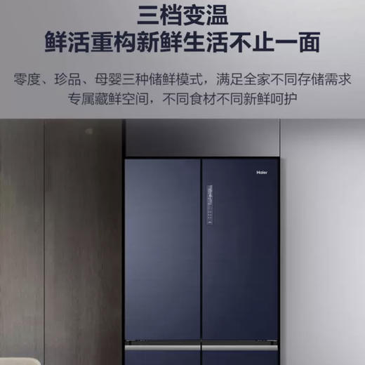 海尔（Haier）冰箱BCD-546WSEKU1 商品图10