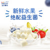 宝贝顾问韩国进口酸奶溶豆儿童零食宝宝辅食益生菌酸奶魔方3袋装 商品缩略图4