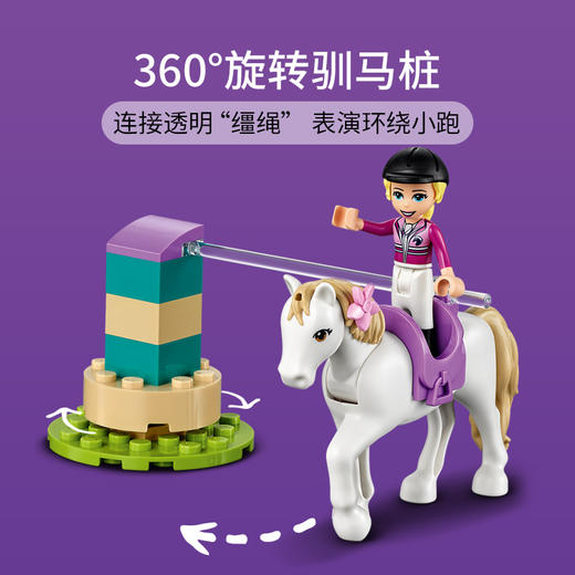 乐高LEGO 小马训练场LEGC41441 商品图3