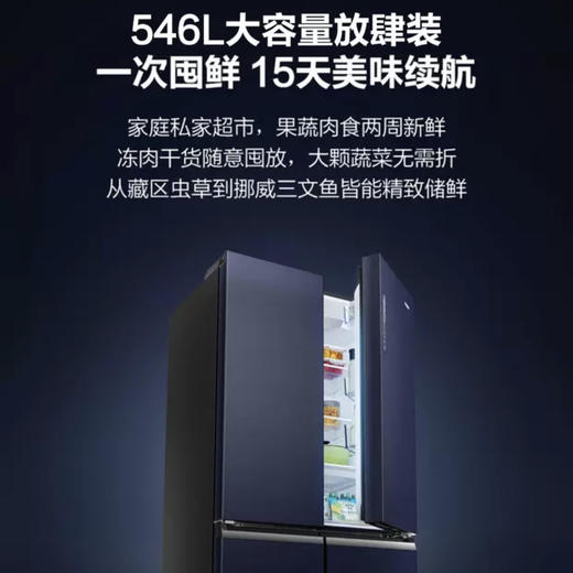 海尔（Haier）冰箱BCD-546WSEKU1 商品图9