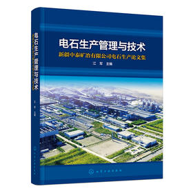 电石生产管理与技术——新疆中泰矿冶有限公司电石生产论文集