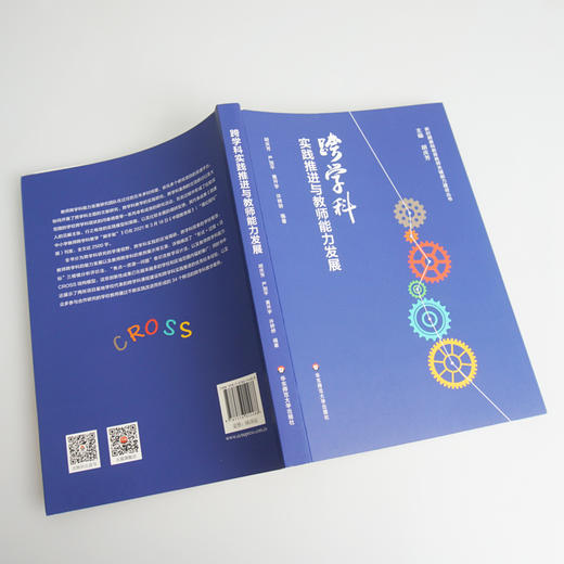 跨学科实践推进与教师能力发展 搭建中小学教师跨学科教学的脚手架 新时期基础教育教师关键能力建设丛书 商品图2