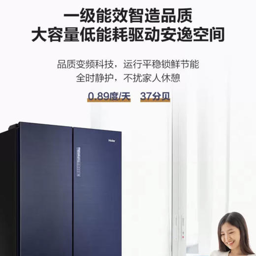 海尔（Haier）冰箱BCD-546WSEKU1 商品图13