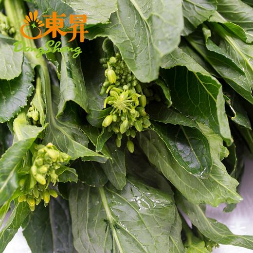 东升宁夏迟菜心  菜心  广州供港蔬菜新鲜配送300G 商品图4