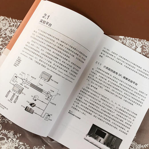 介质阻挡放电降解SF6气体研究及应用 商品图5