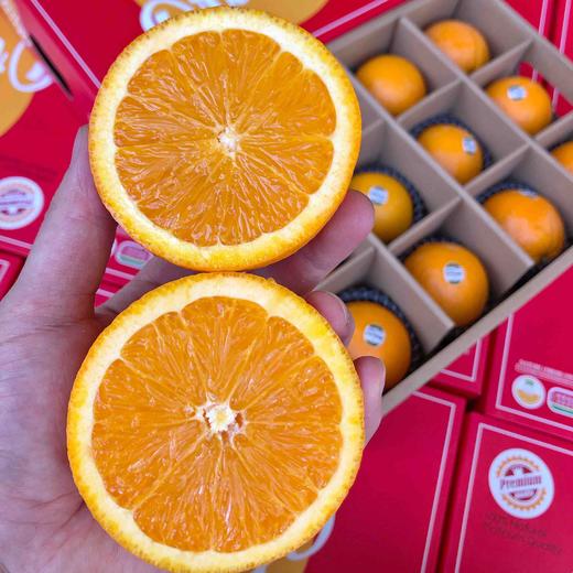 【蜂果满仓】3107进口橙子精选入箱礼盒装，美国甜橙、澳橙系列、新奇士系列等，好的橙子送礼专用！ 商品图1