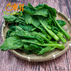 东升农场 供港芥兰 白花芥兰 芥蓝 广州蔬菜新鲜配送 300g 商品缩略图3
