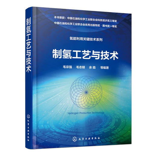 制氢工艺与技术-氢能利用关键技术系列 商品图0