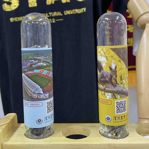 视觉沈农·迷你试管拼图 松鼠 体育场 沈阳农业大学文创拼图 商品图1