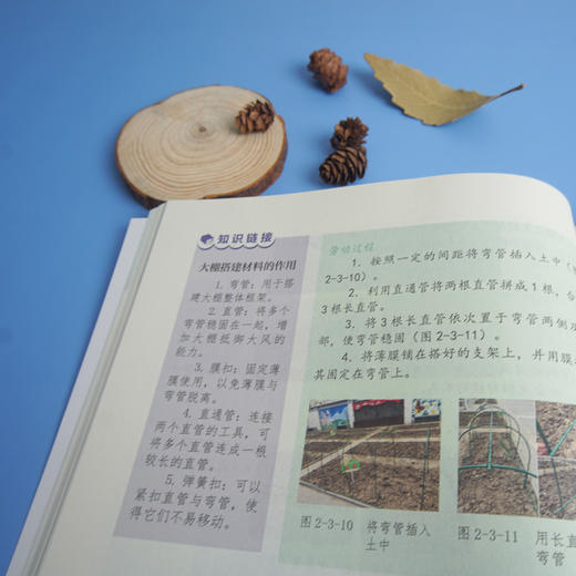 劳动教育 七年级 中小学劳动教育课程教材 劳动创造美好家园 校园种植 电脑与编程 商品图3