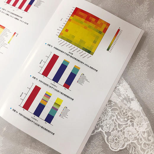 典型有机固体废弃物资源化利用技术 商品图7