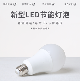 珍视力系列灯泡