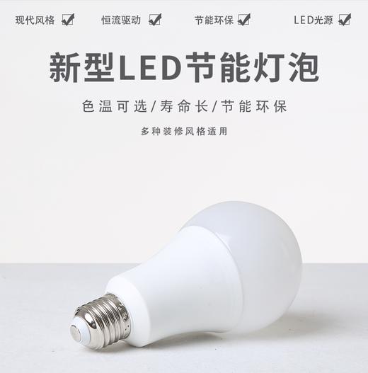 珍视力系列灯泡 商品图0