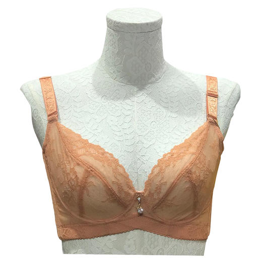 【秒杀品不退不换】皇家丽美薄杯记忆钛圈聚拢收副乳调整型文胸WJQ009-1 商品图1