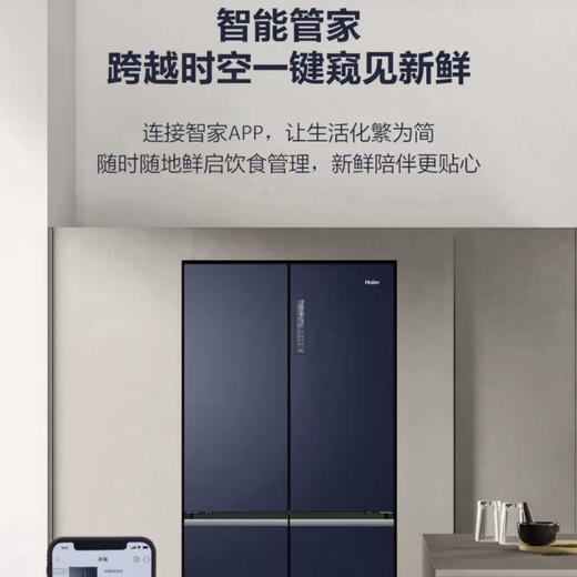 海尔（Haier）冰箱BCD-546WSEKU1 商品图12