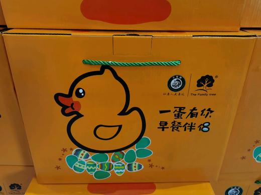 海鸭蛋礼盒一箱20枚装 商品图0