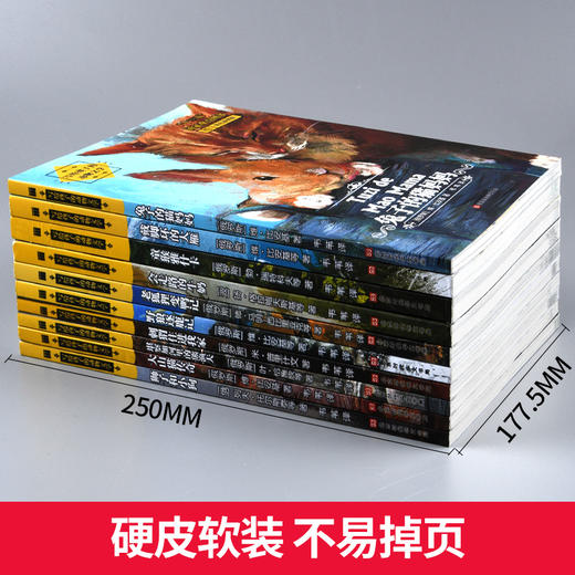 写给孩子的动物文学全套10册 外国野生动物小说全集 小学生课外阅读书籍三四五六年级儿童读物 大自然百科全书儿童启蒙哲学读物 商品图2