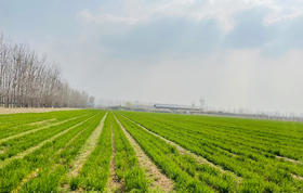  自然学苑｜全国最大的自然生活体验农场 