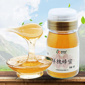 【14.5元/瓶】东大金果斜嘴洋槐/花圣斜嘴枣花蜂蜜500ml