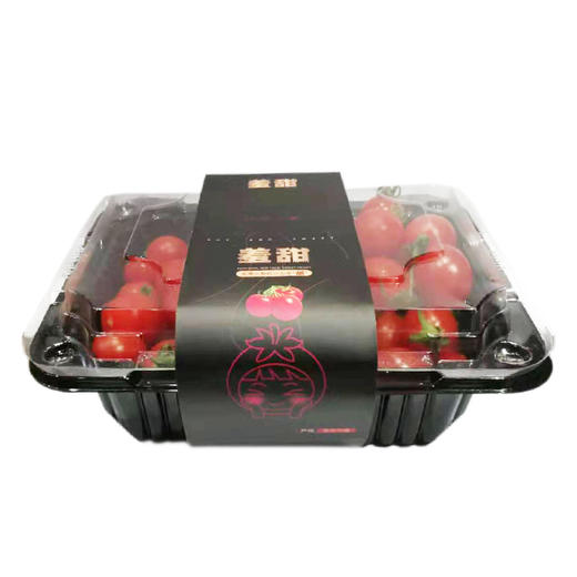 釜山88番茄 商品图0