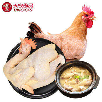 【买一送一】天农供港农家土鸡1kg/只  山林散养100天清远走地鸡 火锅红烧煲汤食材 商品图1