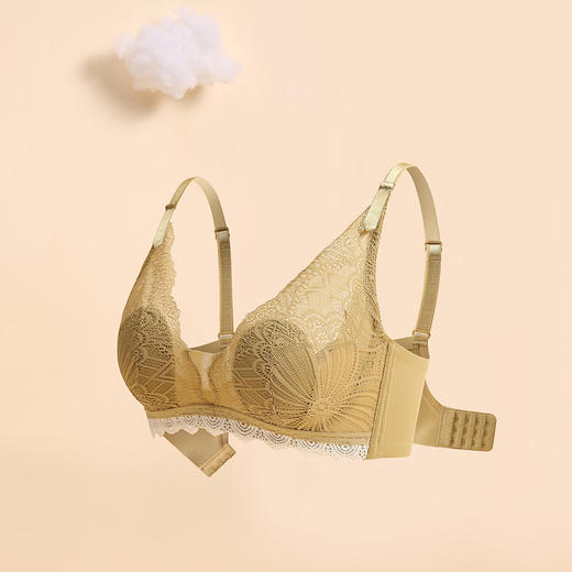 【首推】万康专利款蕾丝背心文胸女士内衣兔子耳朵内杯超薄款夏天文胸聚 商品图5