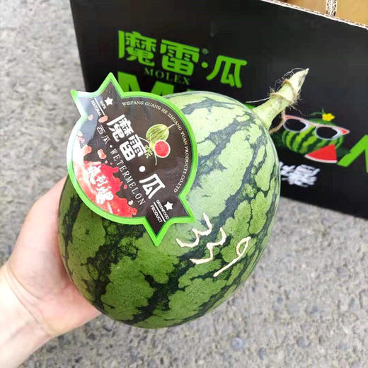 魔雷瓜西瓜爽到爆一藤一瓜甜