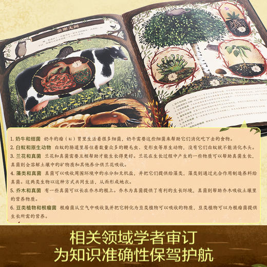 我的自然研究所 动植物交友指南 商品图5