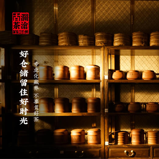 澜沧古茶2021年闻香识澜沧3泡品鉴装（甜香、陈香、参香各一泡） 商品图2