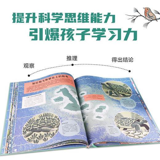 乐乐趣科普绘本-像伟人一样思考世界 达尔文与物种起源 商品图4