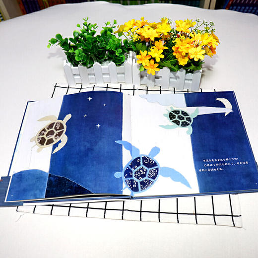 乌龟一家去看海（娃娃龙原创图书系列） 商品图3