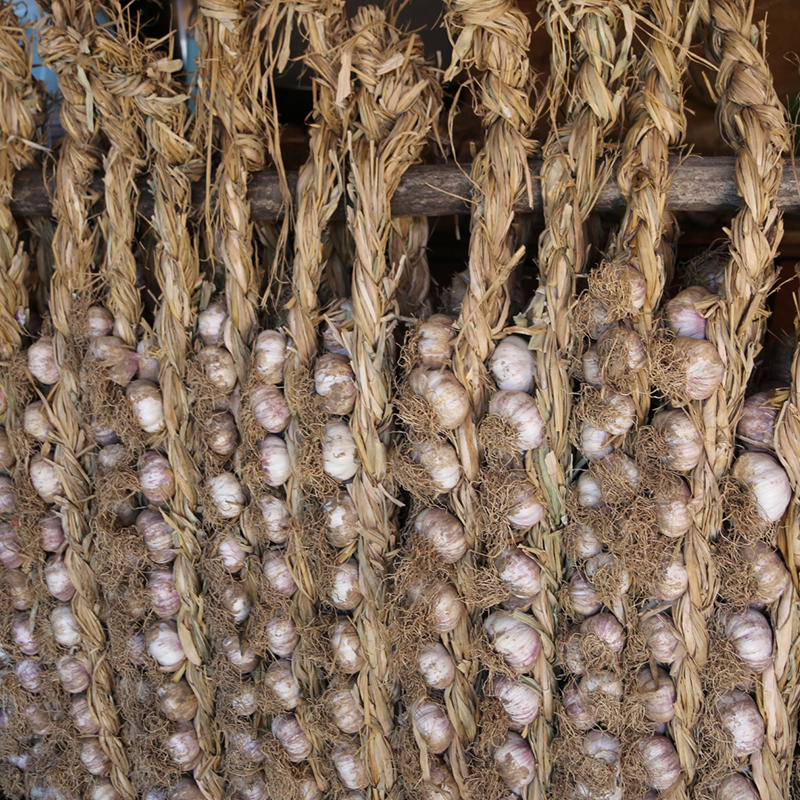 2018新蒜 圣水头一宝 紫皮辫子蒜 大蒜 干蒜 一辫50头 包邮