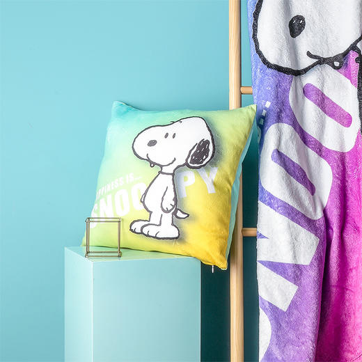 SP-JFK901-幻想系列 渐变抱枕 商品图7