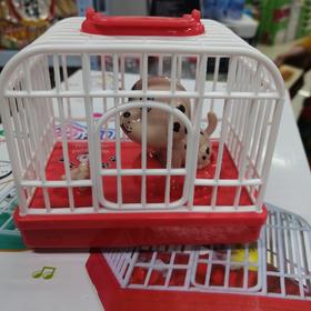 萌趣音乐小狗笼