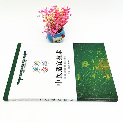 正版 现货【出版社直销】中医适宜技术 互联网+乡村医生培训教材 李铁浪 杨佃会 主编 中国中医药出版社 商品图2