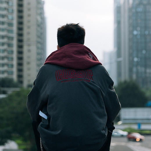 WHISTLEHUNTER秋冬款潮牌嘻哈个性立领刺绣男女拼接宽松连帽卫衣 商品图3