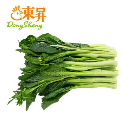 东升供港迟菜心  菜心  广州供港蔬菜新鲜配送300G 商品图1