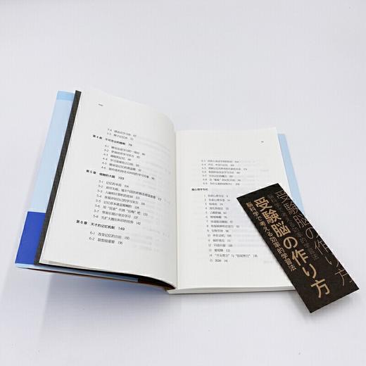 考试脑科学 脑科学中的高效记忆法 池谷裕二 樊登直播推荐 日本畅销十余年的学习记忆书修订版 考试学习 商品图4