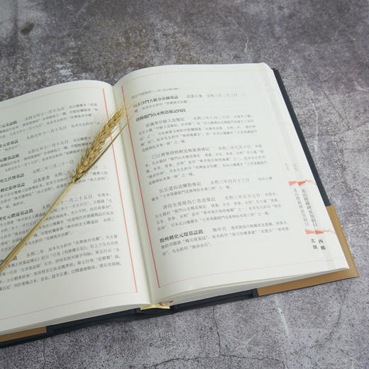 北山楼金石遗迹 北山楼藏碑见知辑目 文史大家施蛰存北山楼金石遗迹 历年所藏周秦至清碑版拓本目录全编 商品图3