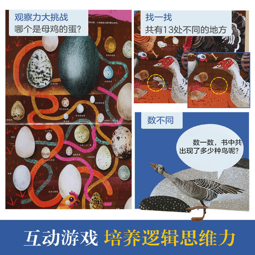 乐乐趣科普百科-我的自然研究所 鸟类总动员 商品图3