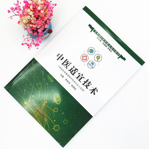 正版 现货【出版社直销】中医适宜技术 互联网+乡村医生培训教材 李铁浪 杨佃会 主编 中国中医药出版社 商品图1