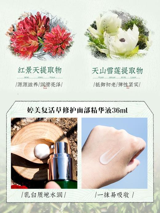 【多款可选】婷美精华大合集 商品图2