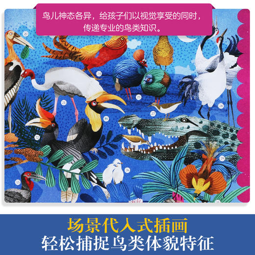 乐乐趣科普百科-我的自然研究所 鸟类总动员 商品图1