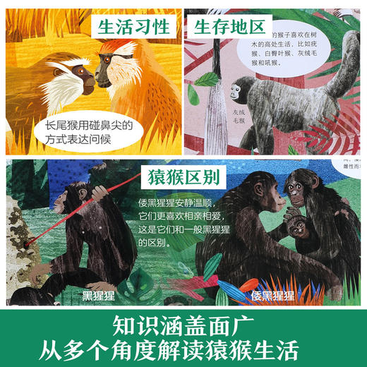 乐乐趣科普绘本-我的自然研究所 猿猴也疯狂 商品图1