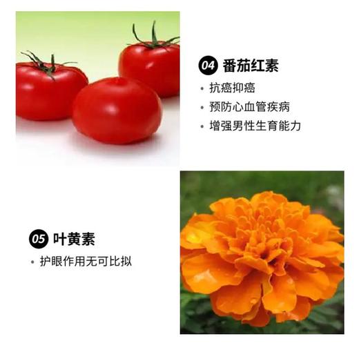 已下架【618限量销售】协和生物 驻年素™雨生红球藻番茄红素压片糖果0.8g*60粒（赠呼嘎果味漱口水一盒）[A类] 商品图7